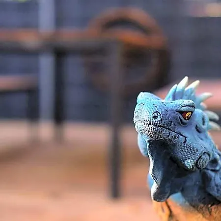 Iguana - Uebernachten Mal Anders! Landau in der Pfalz